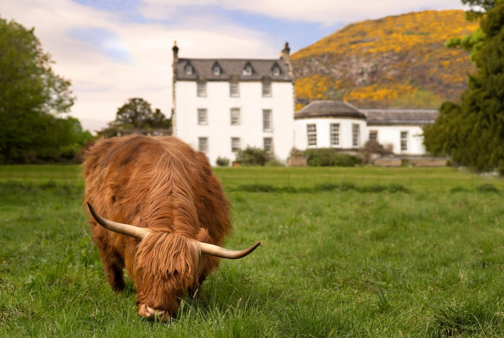 Prestonfield House — Fotos 1